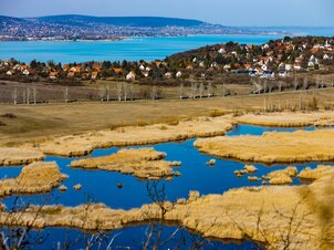 Március 22. a víz világnapja! – Tudj meg többet a Balatont és környékét tápláló vízforrásokról!