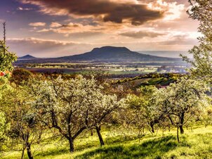 Tavaszi programok Veszprémben és a Bakony-Balaton régióban – merülj el az élményekben!