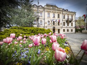 Tavaszi bakancslista – 10 kihagyhatatlan élmény Veszprémben és a Bakony-Balaton régióban