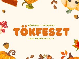2025. Pumpkin Festival
