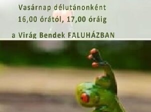 Női torna Dióskálban