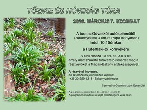 Tőzike és hóvirág túra