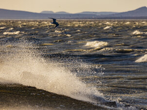 Huray‑estek: Viharfellegek a magyar tenger felett? – A Balaton a klímaváltozás tükrében